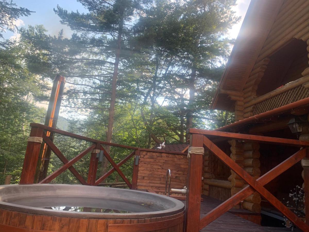 Котедж "Villa Затишна" Mykulytjyn Exteriör bild